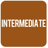 intermediate_icon